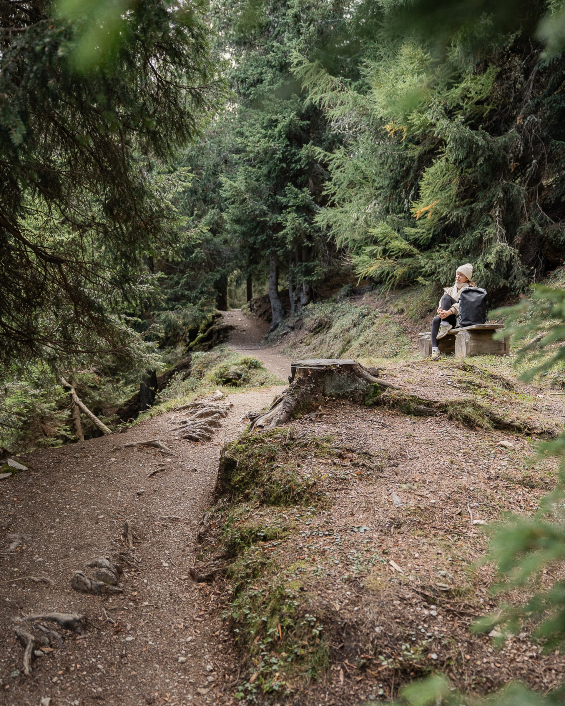 Wanderweg im Wald mit sitzender Person auf Bank am Wegesrand