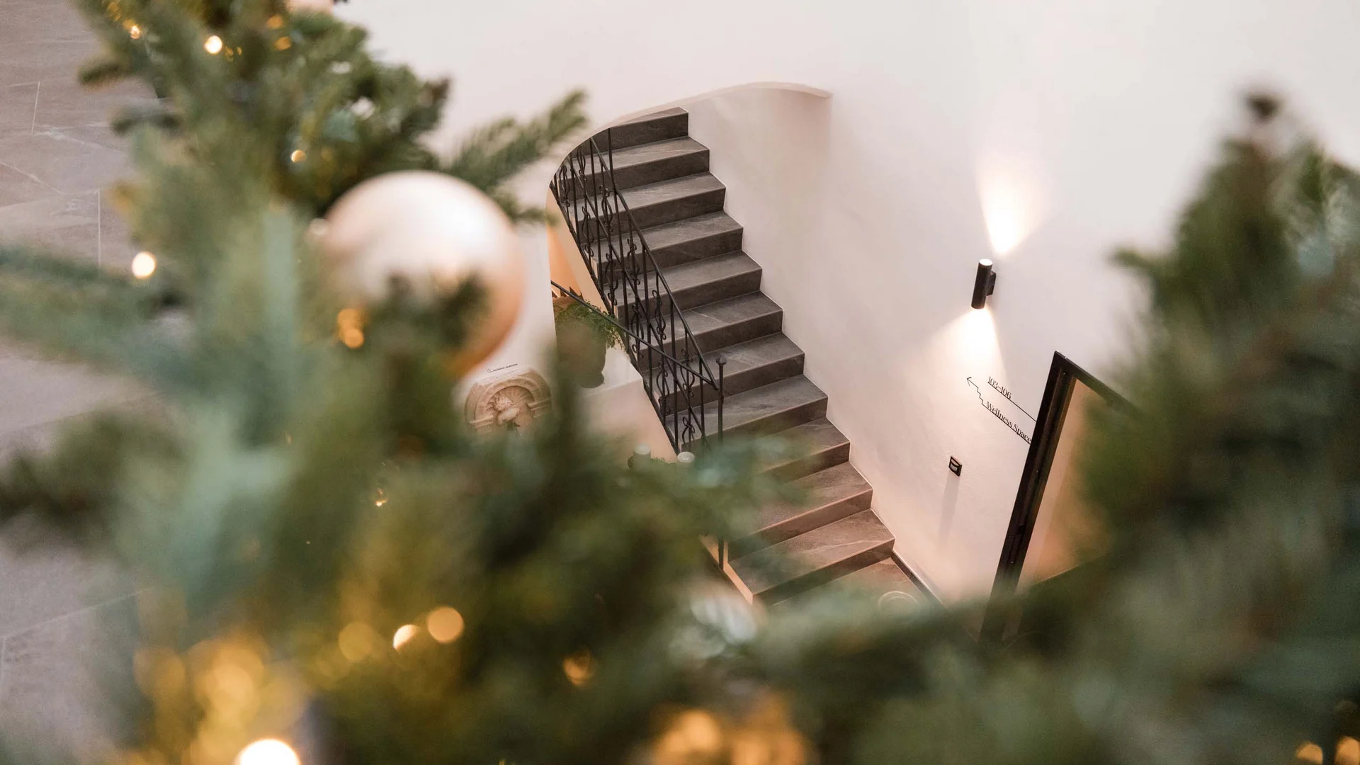 Discover the Schwarzer Adler