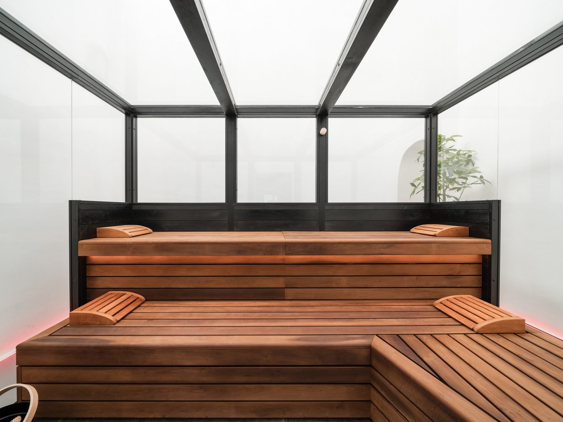 Modern wooden sauna interior with glass roof and headrest cushions