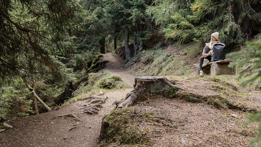 Forest trail with person sitting on a bench